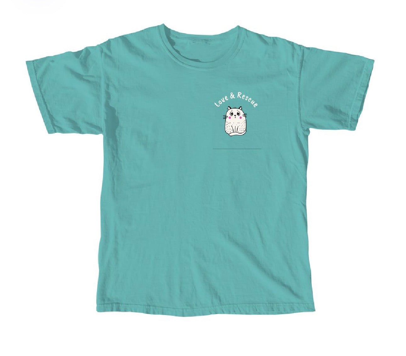 Comfort Colors Love of Your Life T-Shirt in Seafoam