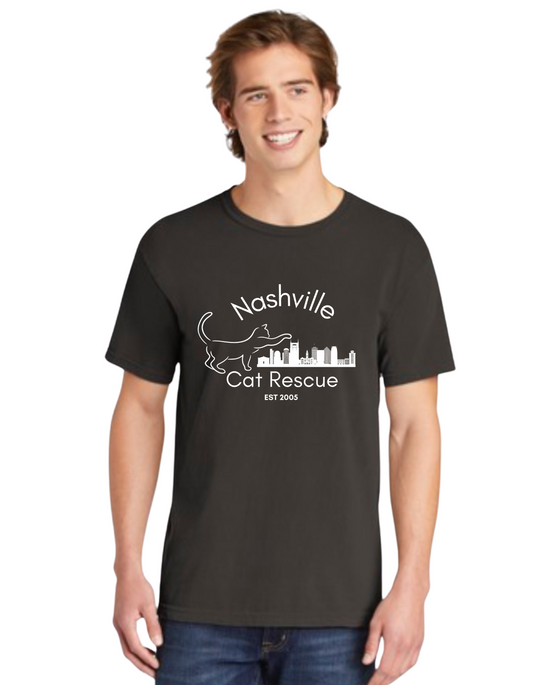 20th Anniversary Comfort Colors Tee in Pepper